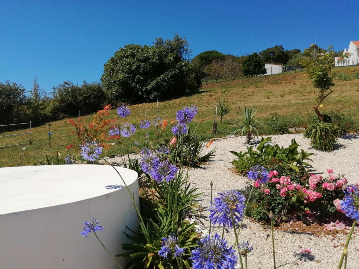 Bb Silvercoast Casa Das Flores Santa Catarina  Kültér fotó
