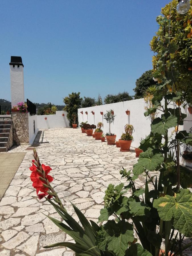 Bb Silvercoast Casa Das Flores Santa Catarina  Kültér fotó