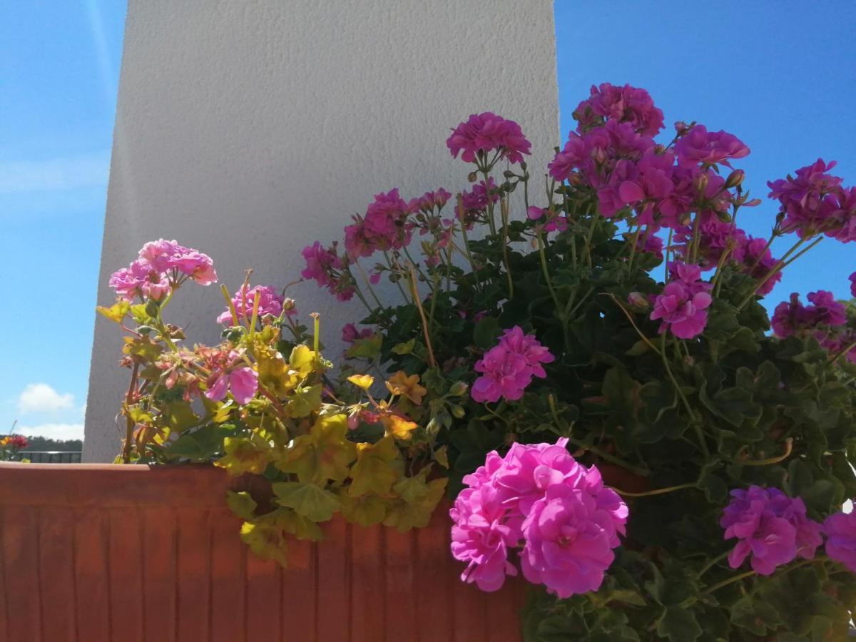 Bb Silvercoast Casa Das Flores Santa Catarina  Kültér fotó